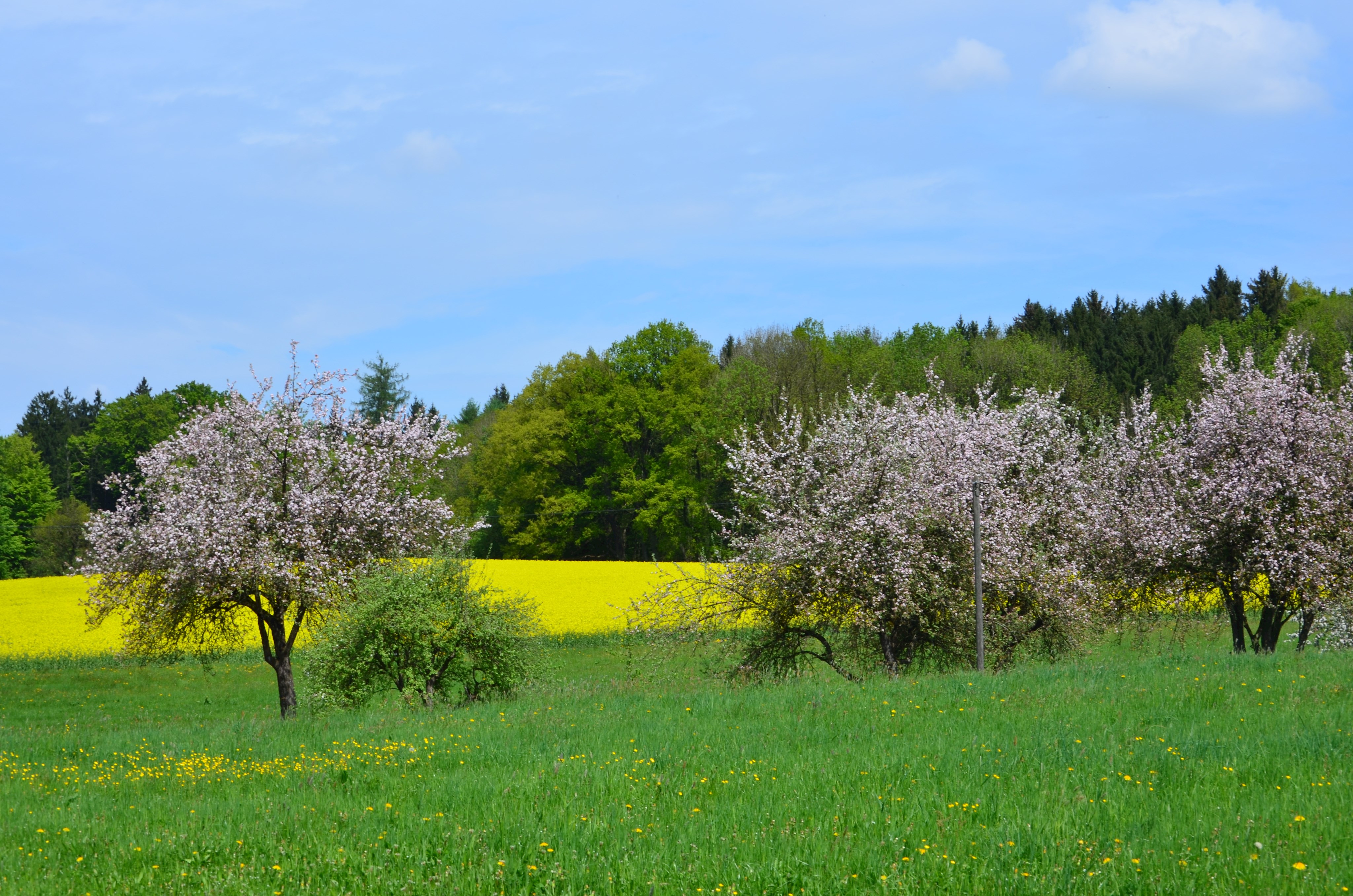 Umweltbildung