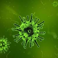 Virus
